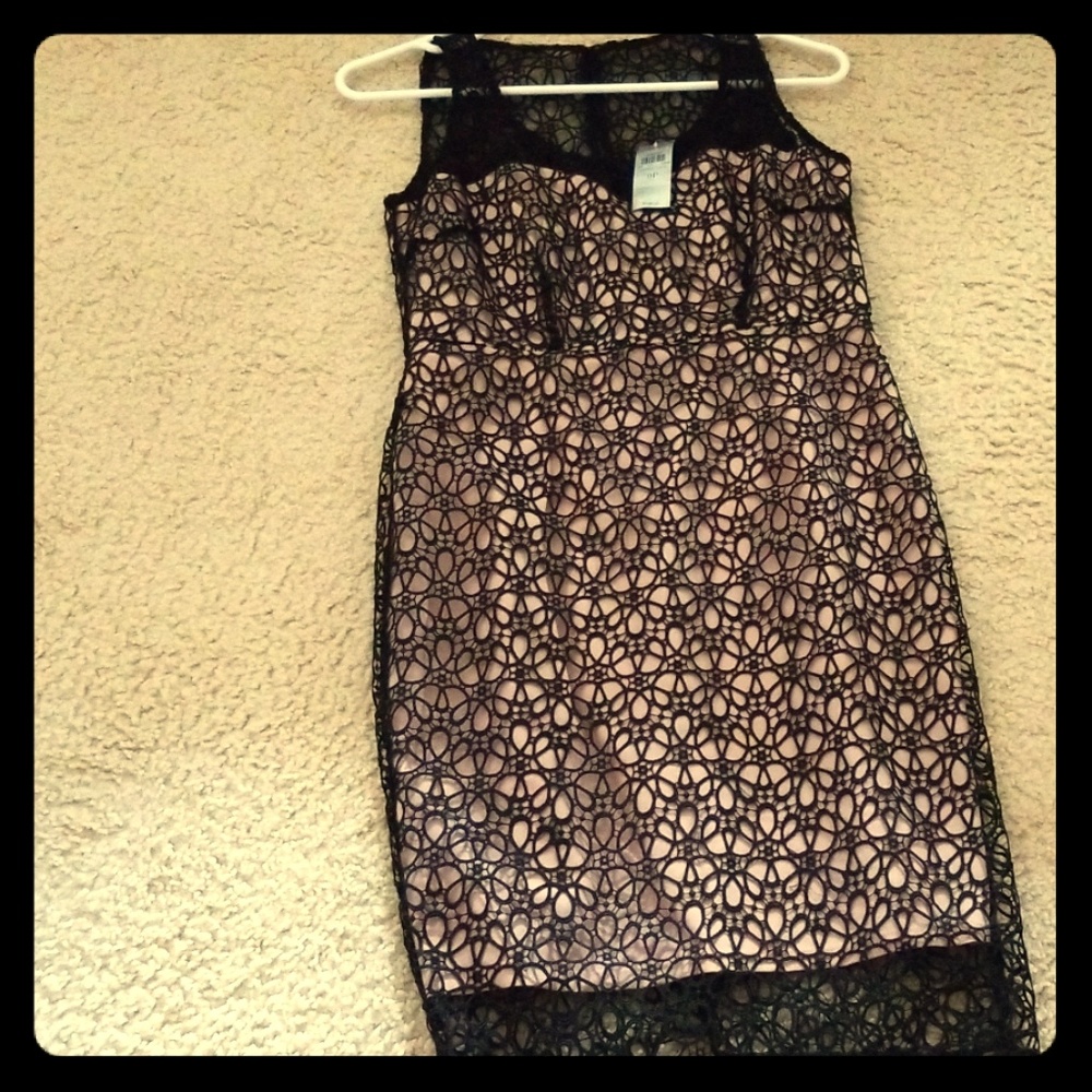 Ann Taylor lace dress